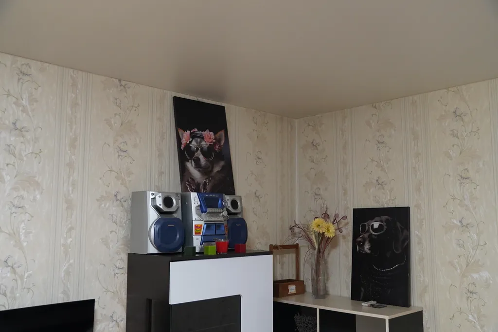 Просторная квартира рядом с сосновым бором у Днепра