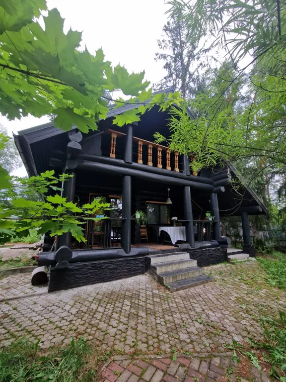 Коттедж Эко-дом у озера: отдых вдали от суеты — Лебяжье