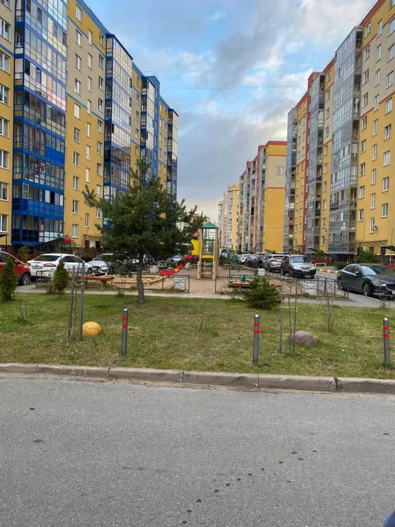 В лесной тиши