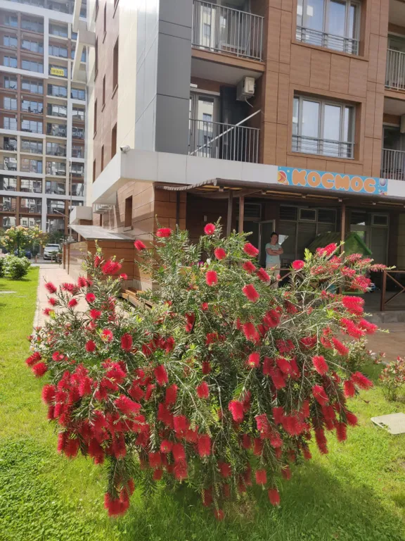 Орхидея – евродвушка у моря с открытым бассейном на территории