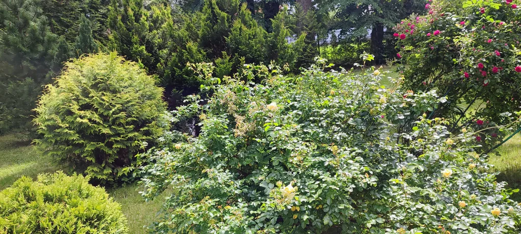 Весь первый уютный этаж с видом на природу