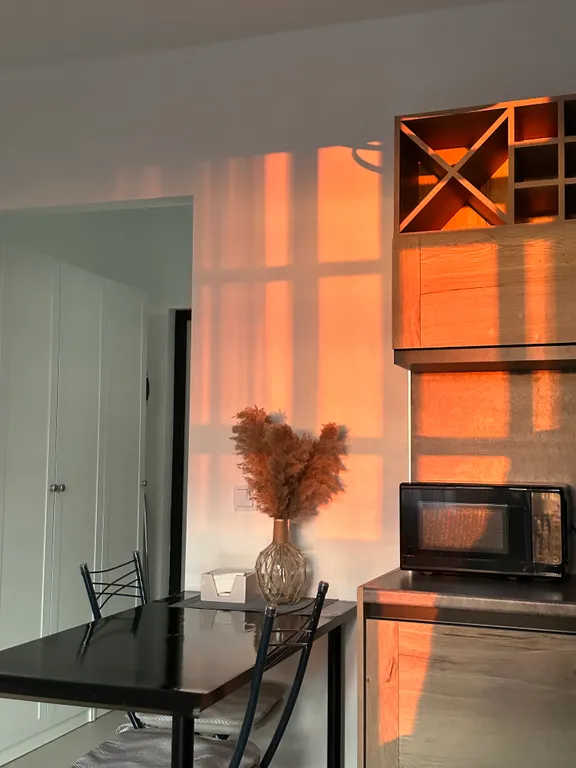 Студия в центре