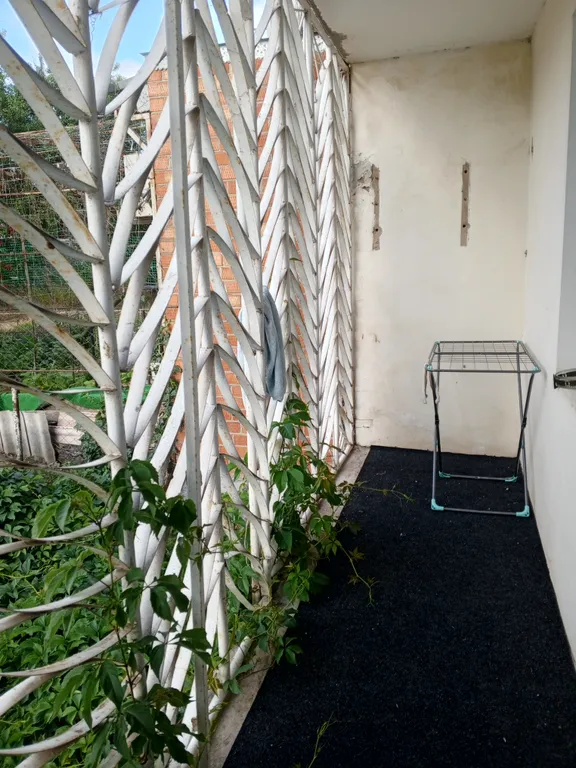 В гостях у Яны