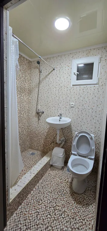 В тени киви