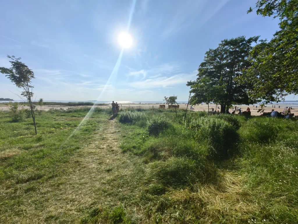 Курортный люкс с видом на лес