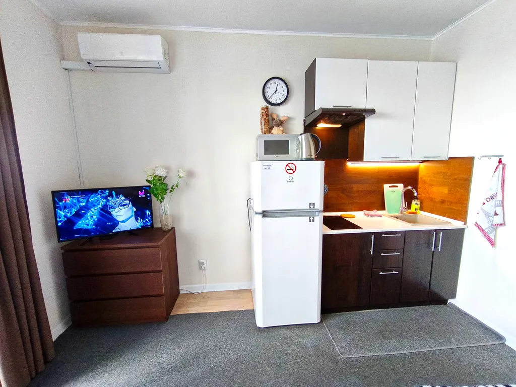 Квартира Чистая, уютная и комфортная студия в Мисайлово — Мисайлово