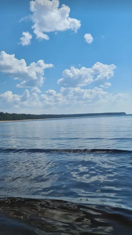 Коттедж Гостевой дом с сауной и купелью, вблизи реки и Ладоги — Видлица