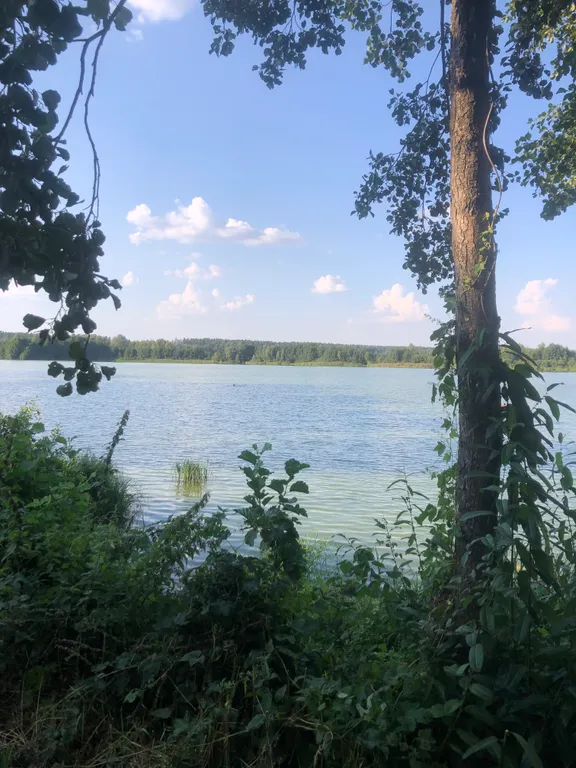 Для семей с детьми