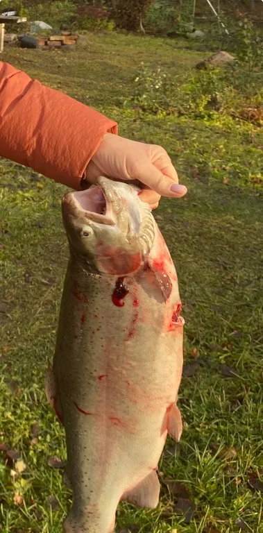 Уютный домик в шхерах