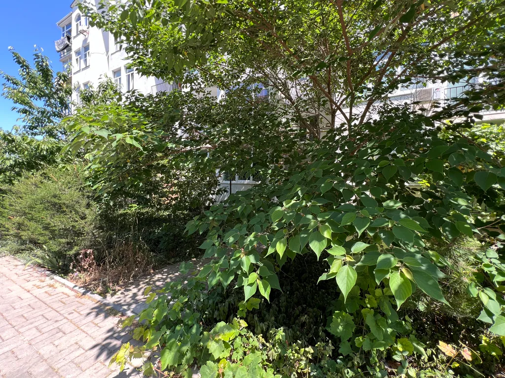 1 к.кв. пляж 5 мин рядом Парк Победы Херсонес не берем плату за уборку