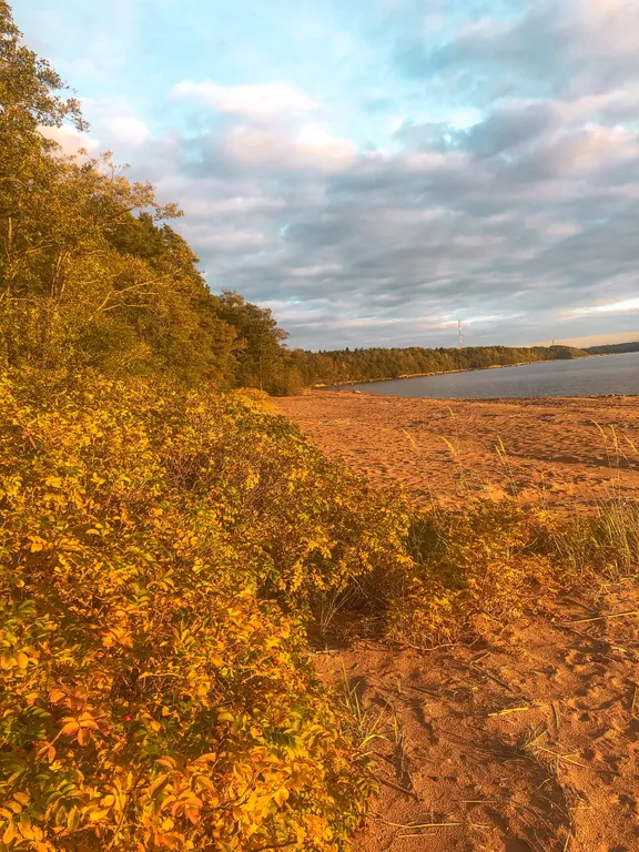 Коттедж Уютный гостевой дом на берегу Финского залива с баней — Приморск