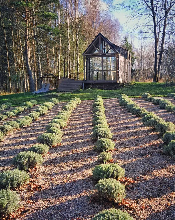 Дом у реки Волма в лесу