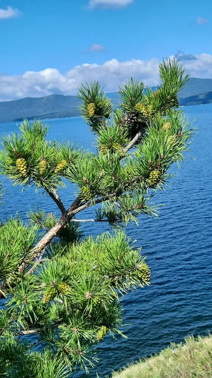 Эко дом на первой линии озера Тургояк