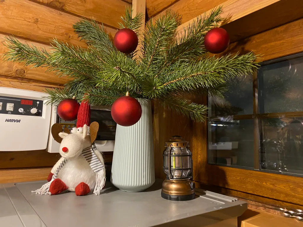 Дом в пяти минутах езды от псковского кремля