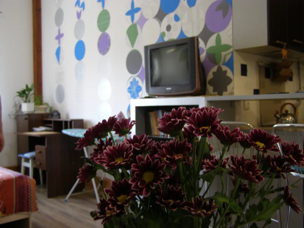 Студия в исторической части Ялты