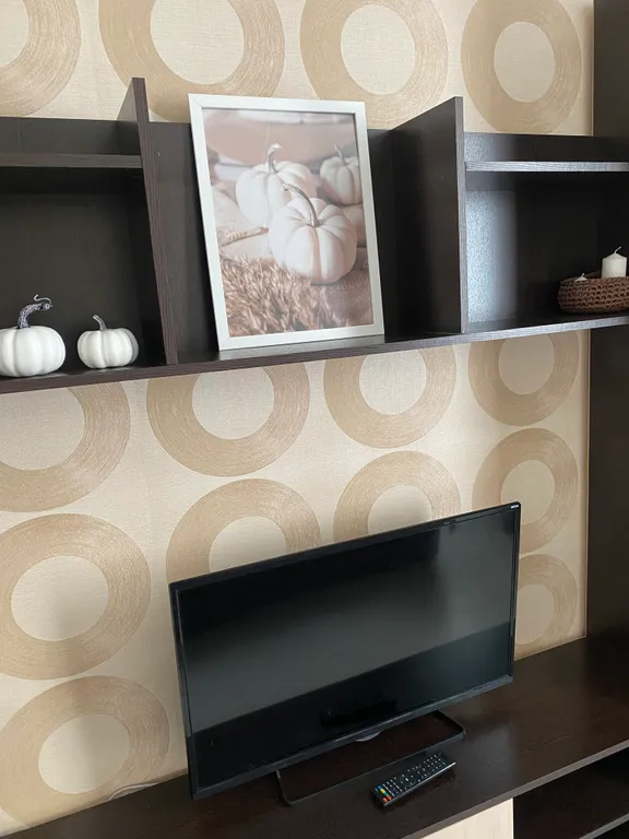 Уютная однокомнатная квартира