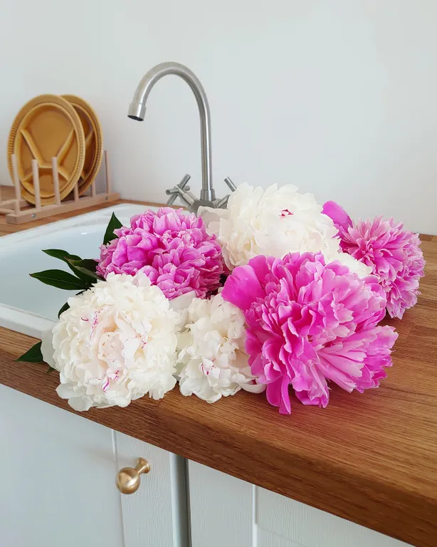 Королевский палтус