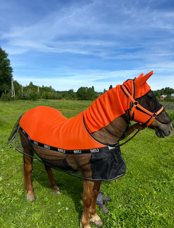 Коттедж Вилла с сауной на берегу и прямым видом на Правдинское озеро — Правдино