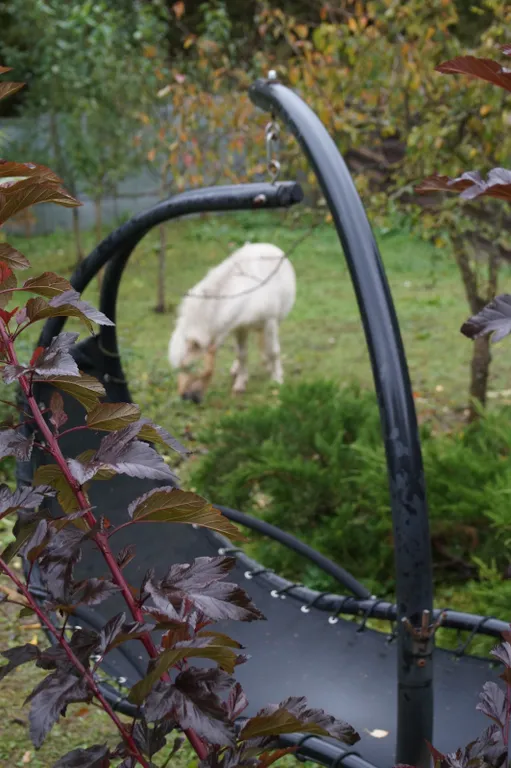 Гостевой дом Сота