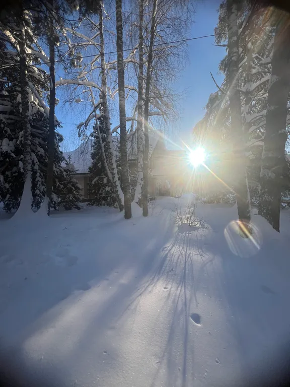 Дом Плещеево