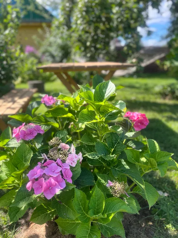 Усадьба со всеми удобствами