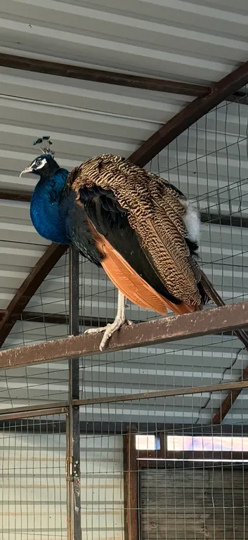 Коттедж Уютный дом на базе отдыха у воды Бабин двор — Васюково