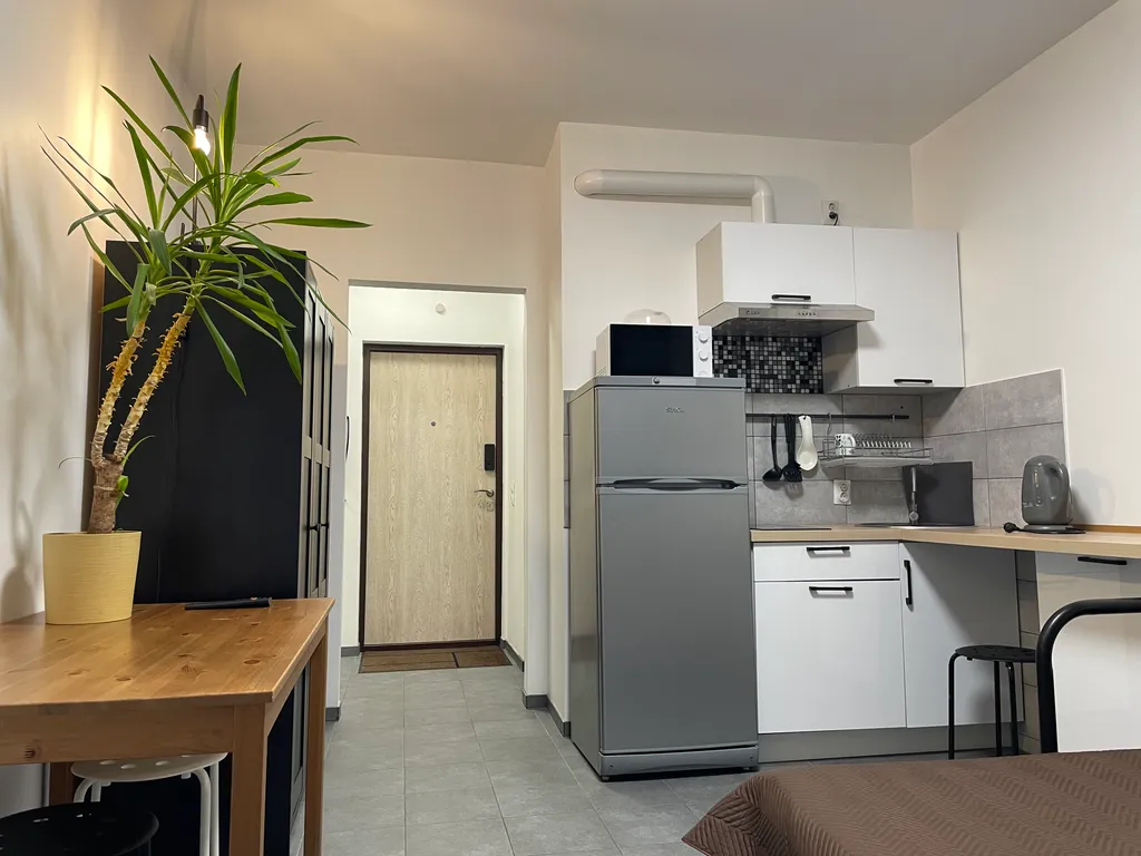 Квартира-студия в шаговой доступности от метро Девяткино