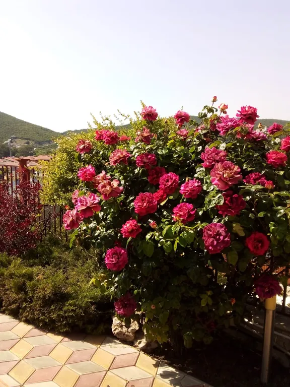 Уютная комната со всеми удобствами в 12 минутах до моря