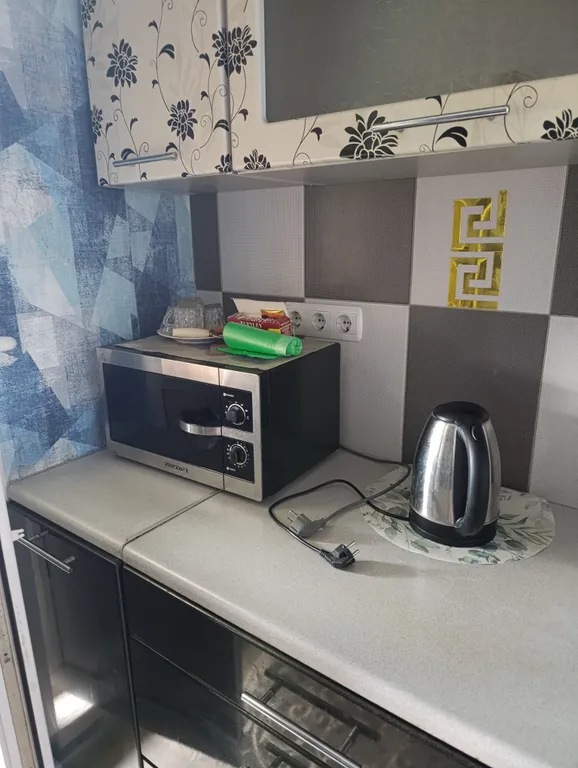 Чижовка Арена, Дельфинарий, Дино-парк, метро Автозаводская 10мин