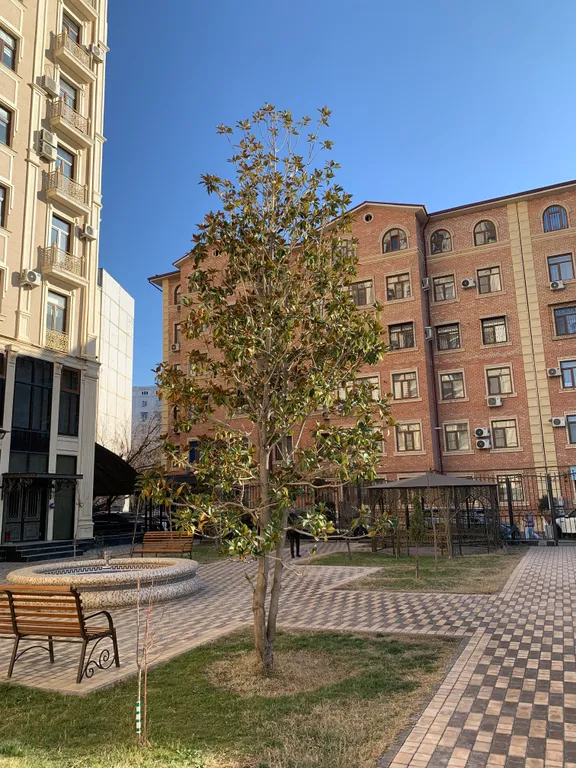 Премиум просторная квартира в центре города