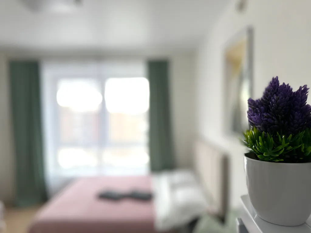 Студия рядом с аэропортом Внуково