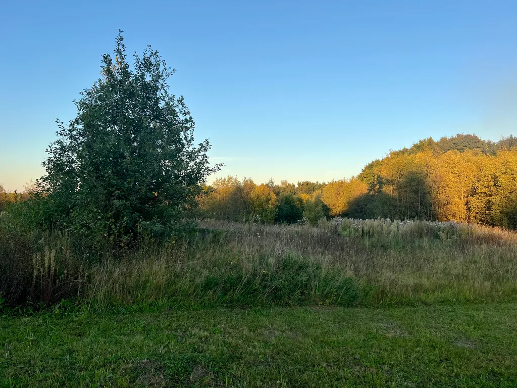 Коттедж Дом у леса Ольха хаус — Новоселье