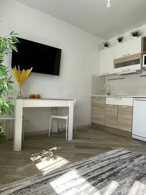 Квартира Квартира Уютнaя квapтирa-студия в цeнтpе Адлерa — Сириус