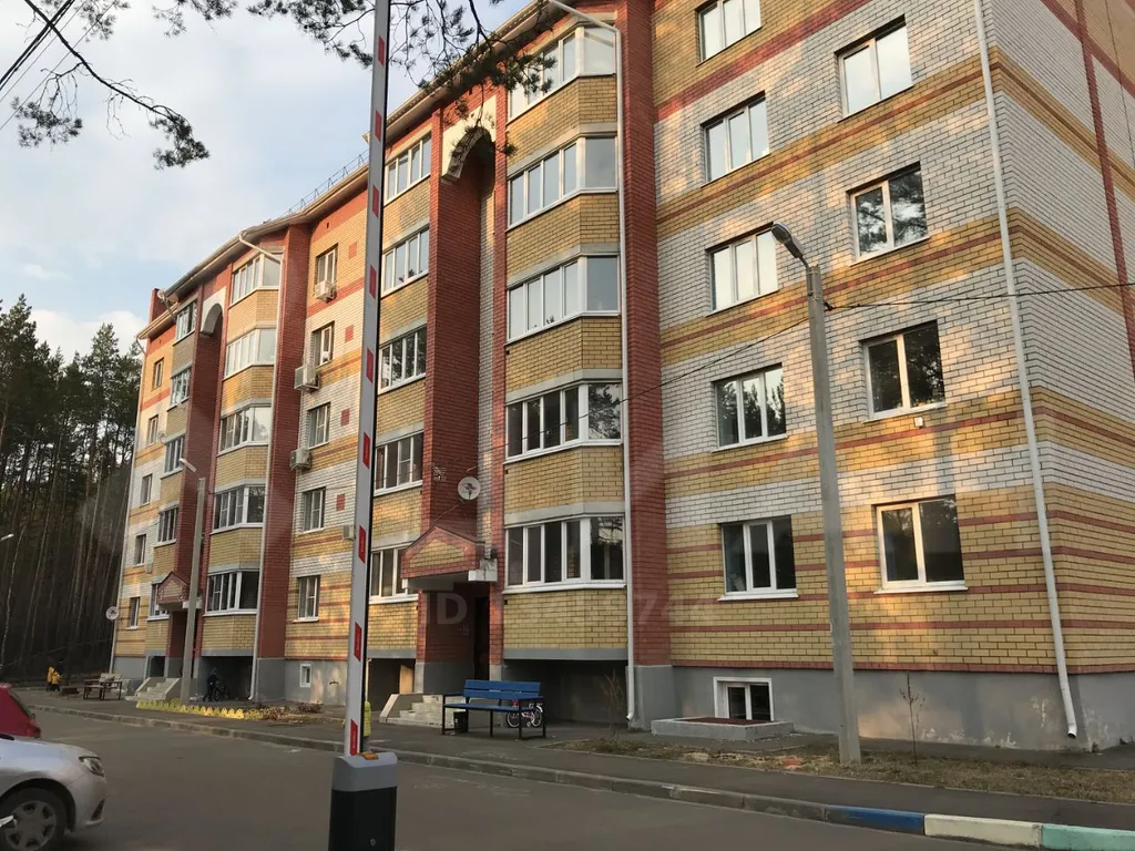 Апартаменты с видом на лес