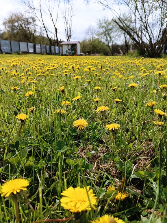 Уютный деревенский домик в сердце гор