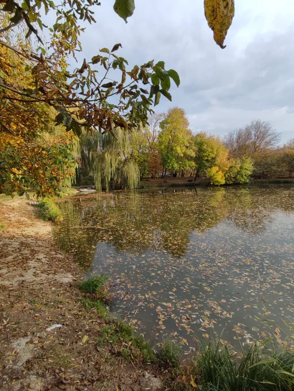 Уютный домик с баней на территории Тихого пруда