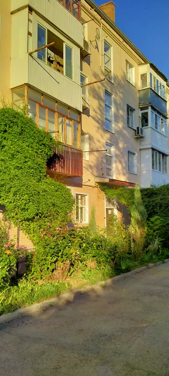 Демократичная цена, центр