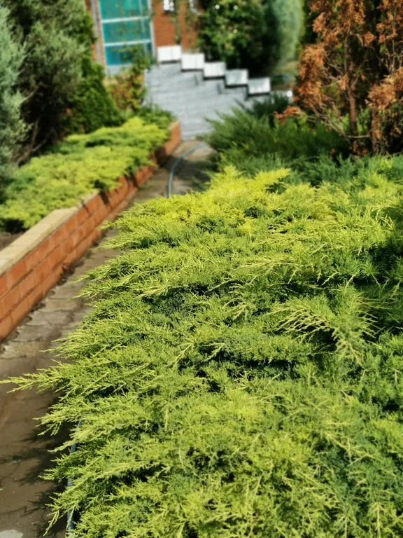 Коттедж Большой дом на море — Кучугуры