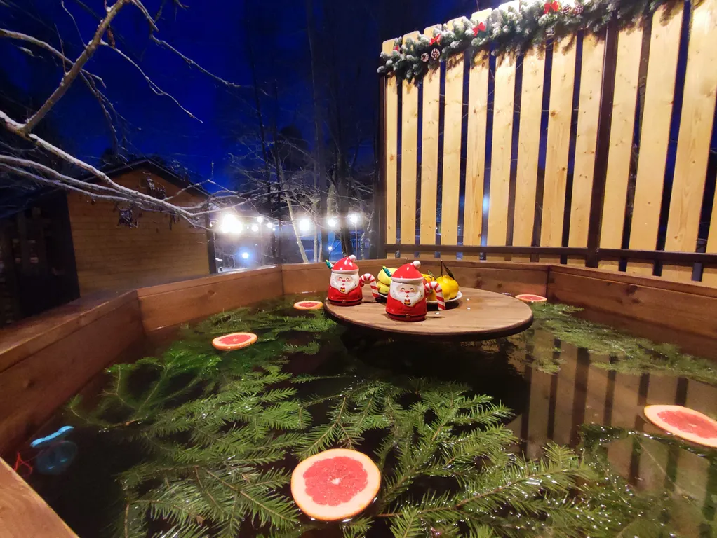 Коттедж Коттедж Shuya Tiny House 2 — Петрозаводск