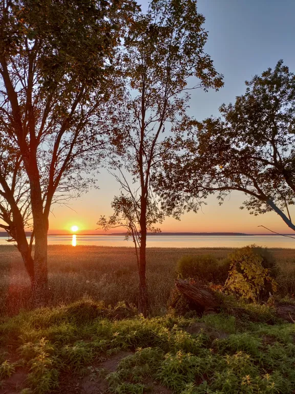 Уютный дом на 1 линии о. Cелигер