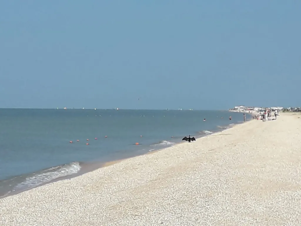 Полулюкс двухкомнатный, с двухъярусной кроватью