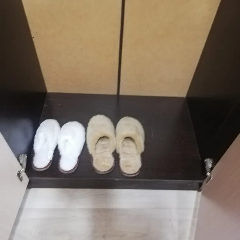 Уютная квартирка с лисами в самом центре