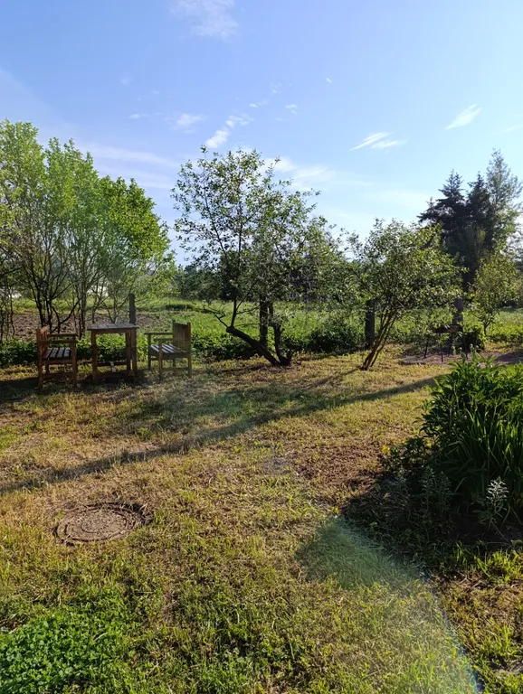 Уютный дом в Пушкиногорье