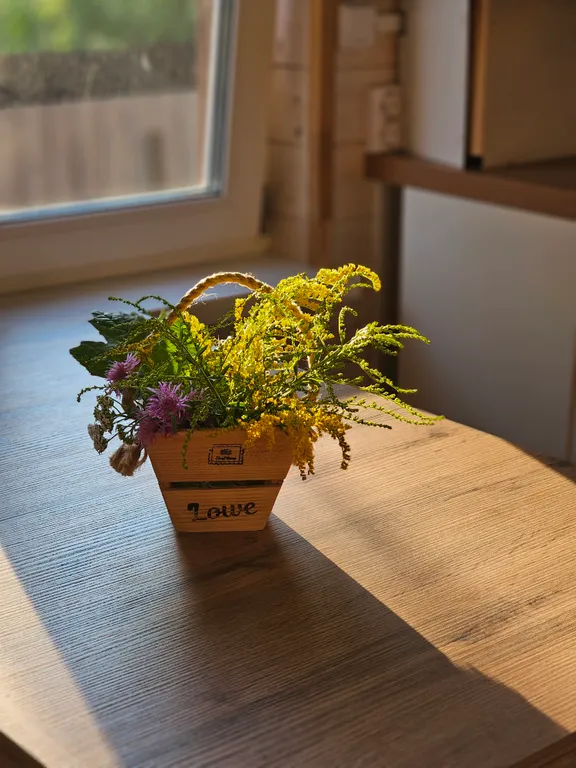 Новый дом с сауной