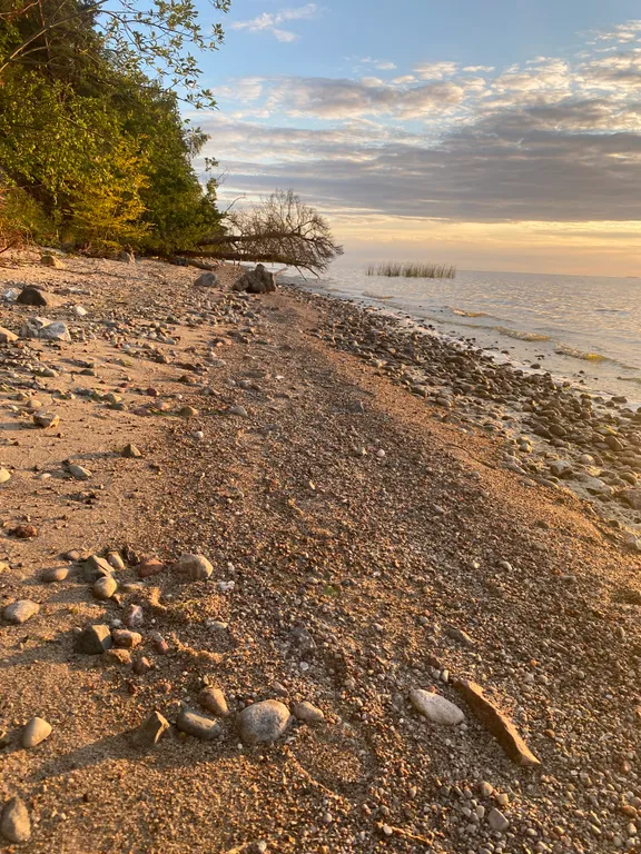 Дом с камином в лесу возле залива