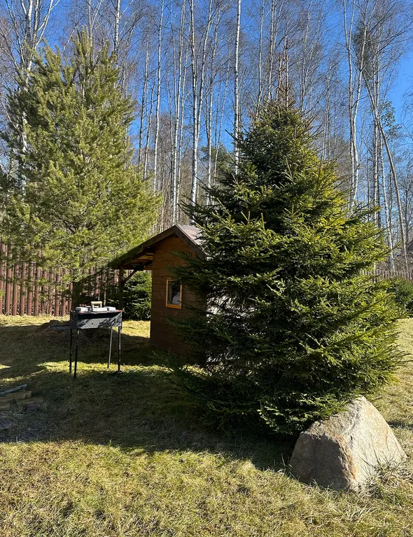 Уютный дом в Токсово