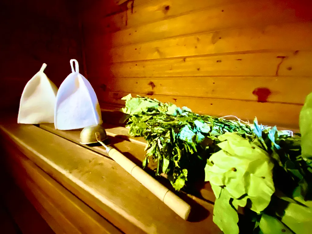 Домик Рокс с баней, банным чаном и чашей для купания