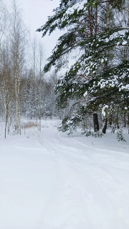 Коттедж Уютный домик у реки — Можайск