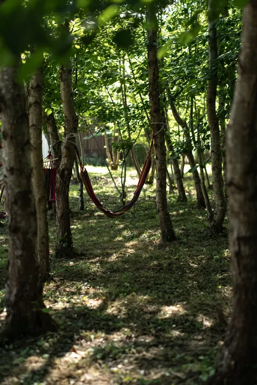 Коттедж 1-комнатный Дом — Сухум