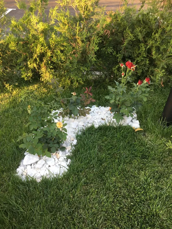 Квартира Уютная двухкомнатная квартира — Анапа